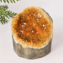 Load image into Gallery viewer, 1PC Natural Citrine Cluster Polished Electroplated Mineral Specimen