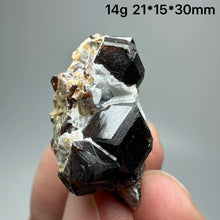 Load image into Gallery viewer, 1PC Natural Dark Brown Andradite Garnet Cluster Raw Crystal Mineral Specimen Home Decor