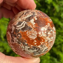 Load image into Gallery viewer, 1PC Natural Money Agate Sphere Home Decor