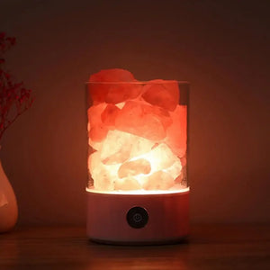 Himalayan Salt Lamp Night Light Negative Ion Air Purification Sleep Aid