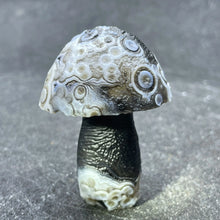 Load image into Gallery viewer, Natural Sardonyx Agate Alxa Gobi Eye Mushroom Mineral Specimen