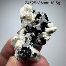 Load image into Gallery viewer, Natural Black Tourmaline &amp; Calcite Mineral Specimen – Raw Crystal for Collection &amp; Home Decor