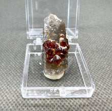 Load image into Gallery viewer, Natural Florescent Hyalite and Garnet Symbiosis Mineral Specimen