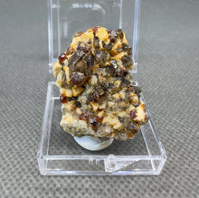 Load image into Gallery viewer, Natural Florescent Hyalite and Garnet Symbiosis Mineral Specimen