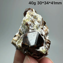 Load image into Gallery viewer, 1PC Natural Dark Brown Andradite Garnet Cluster Raw Crystal Mineral Specimen Home Decor