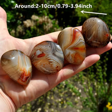Load image into Gallery viewer, Natural Sardonyx Agate Palm Stone Specimen Polished