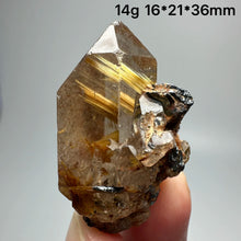 Load image into Gallery viewer, 1PC Natural Brazilian Gold Rutilated Quartz Crystal and Hematite Symbiosis Mineral Specimen Home Decor