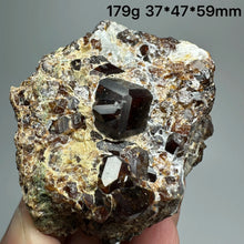 Load image into Gallery viewer, 1PC Natural Dark Brown Andradite Garnet Cluster Raw Crystal Mineral Specimen Home Decor