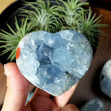Load image into Gallery viewer, 1PC High Quality Natural Blue Celestite Heart Cluster Raw Geode for Meditation