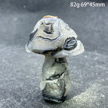 Load image into Gallery viewer, Natural Sardonyx Agate Alxa Gobi Eye Mushroom Mineral Specimen