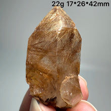 Load image into Gallery viewer, 1PC Natural Brazilian Gold Rutilated Quartz Crystal and Hematite Symbiosis Mineral Specimen Home Decor