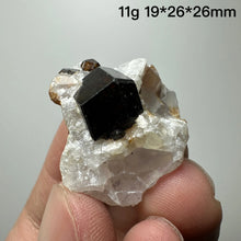 Load image into Gallery viewer, Natural Inner Mongolia Garnet Crystal Specimen – Raw Mineral Stone for Collection &amp; Home Decor