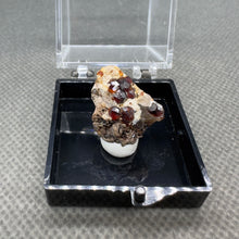 Load image into Gallery viewer, Natural Florescent Hyalite and Garnet Symbiosis Mineral Specimen
