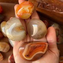 Load image into Gallery viewer, Natural Sardonyx Agate Palm Stone Specimen Polished