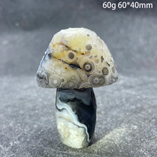 Load image into Gallery viewer, Natural Sardonyx Agate Alxa Gobi Eye Mushroom Mineral Specimen