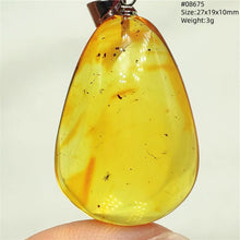Load image into Gallery viewer, Natural Baltic Amber Teardrop Pendant – Premium Genuine Yellow Amber Necklace Gift