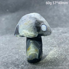Load image into Gallery viewer, Natural Sardonyx Agate Alxa Gobi Eye Mushroom Mineral Specimen